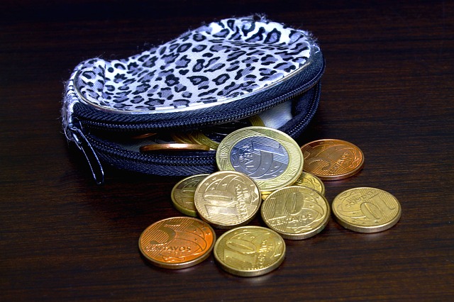 dámská textilní peněženka s mincemi 